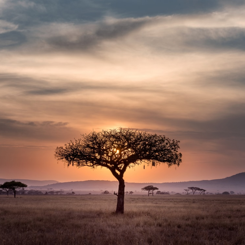 Kenya