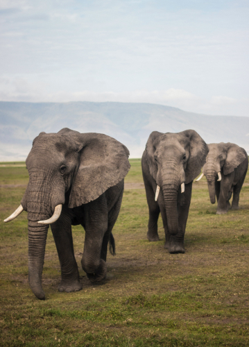 Tanzania