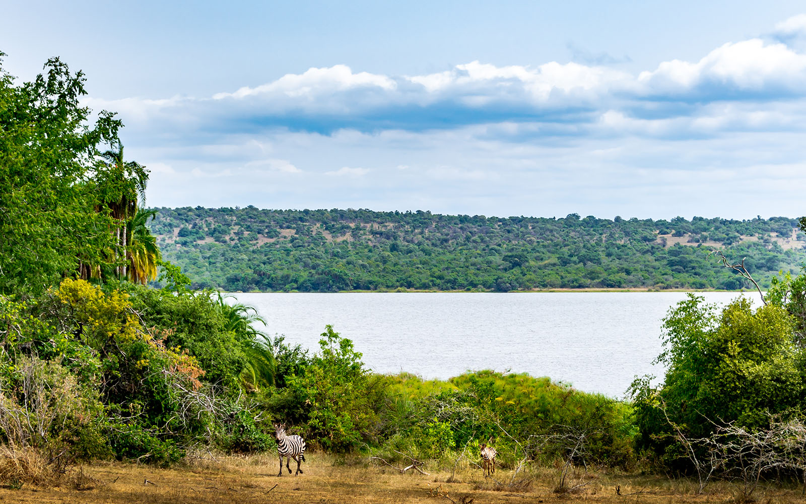 Kigali, Akagera & Gisenyi