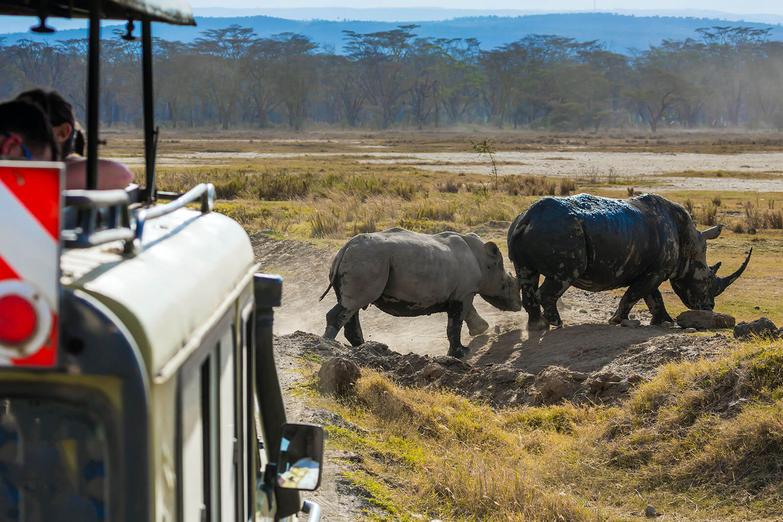North And Rift Rhino Safari