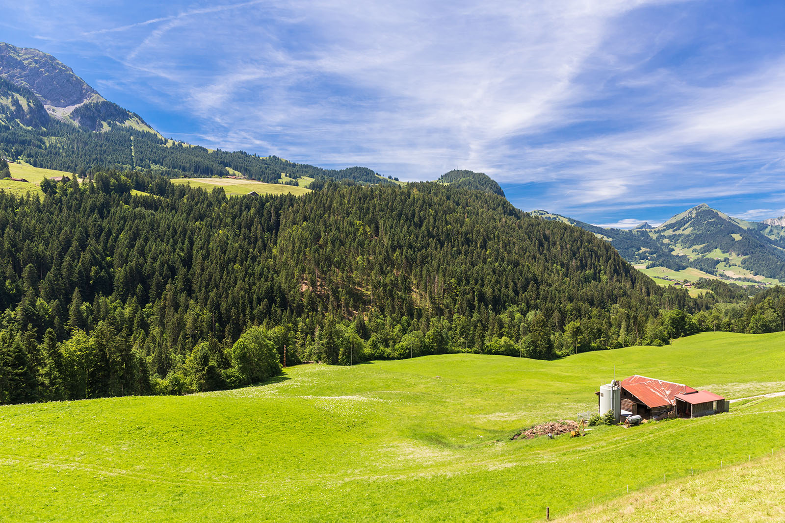 Sweet Switzerland