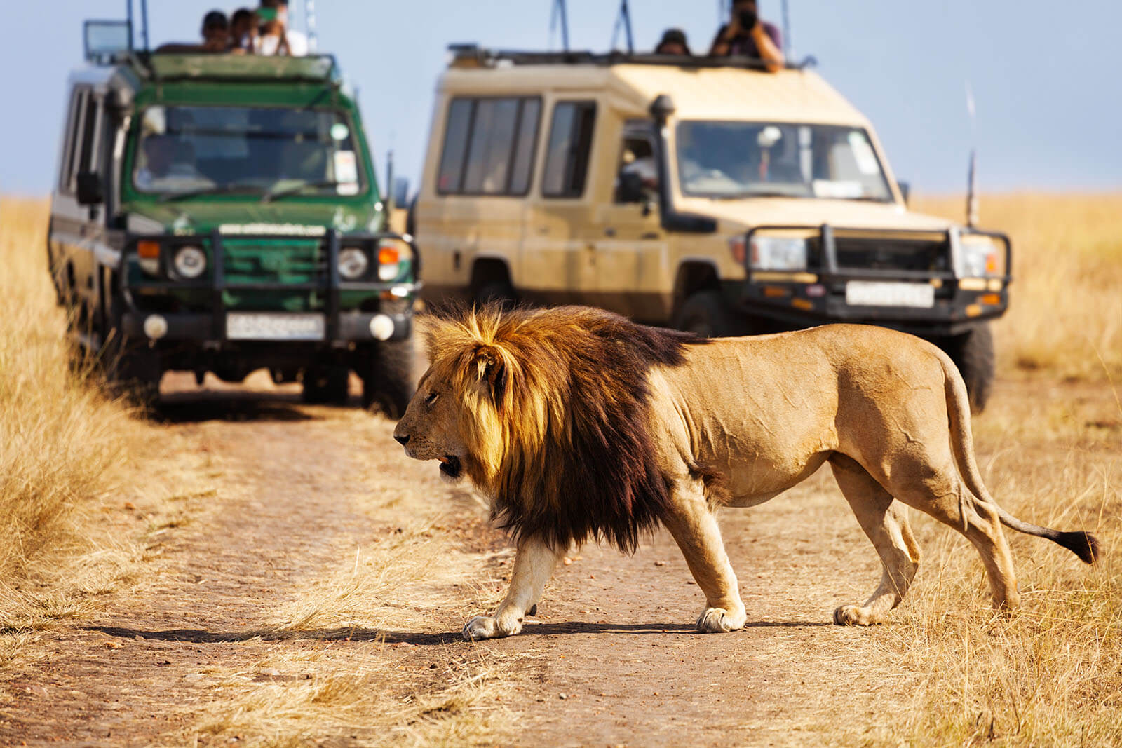 Safari Package for Tsavo East & West National Park