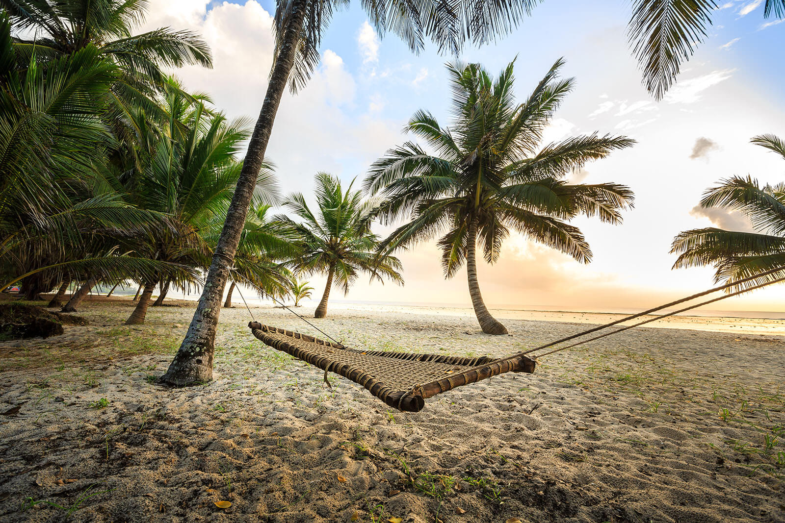 Relaxing Beach Trip