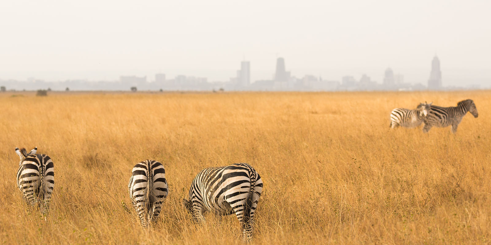 Nairobi Day Tour