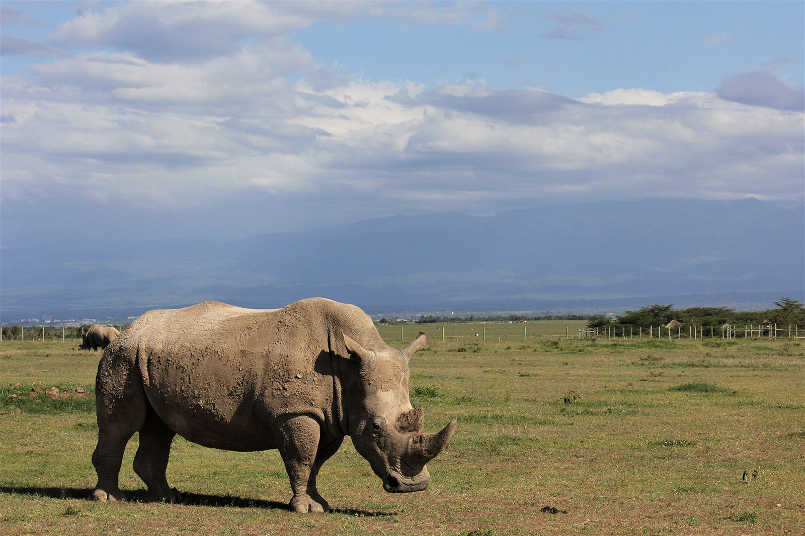 Laikipia And Masai Mara Flying Package