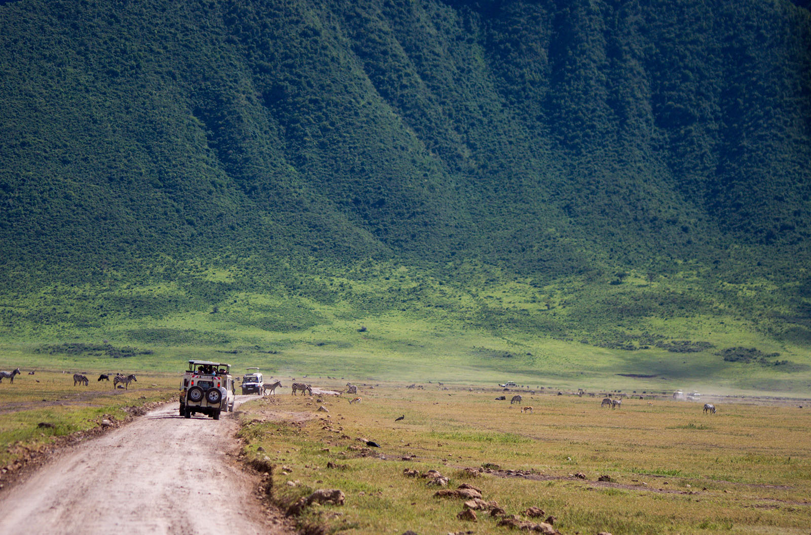 Serengeti & Ngorongoro Safari Package