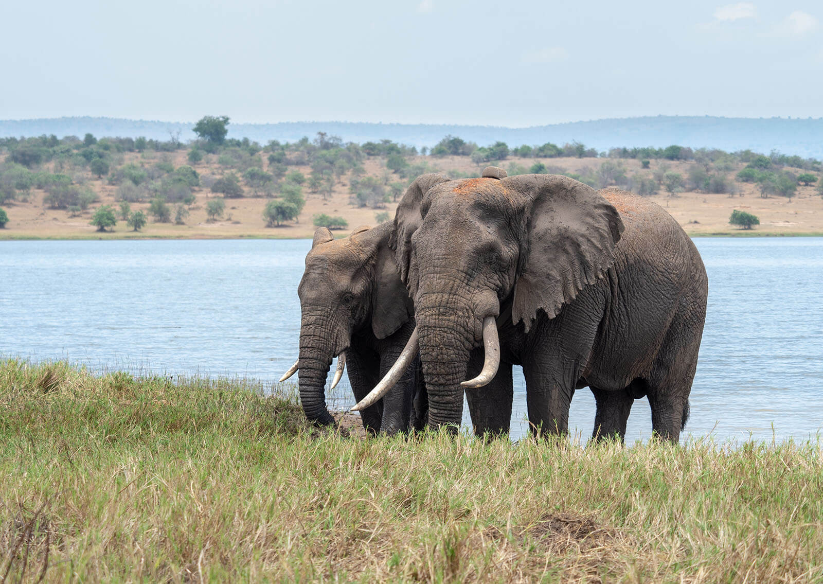 Kigali-Nyungwe-Gisenyi-Akagera-Kigali Package